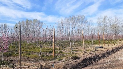 Relevamiento de proyectos productivos frutihortícolas y aviares pampeanos