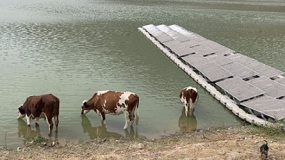 La recarga artificial de acuíferos una solución a la escasez hídrica