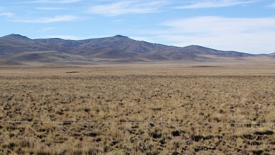 Recuperan mallines degradados en la Patagonia