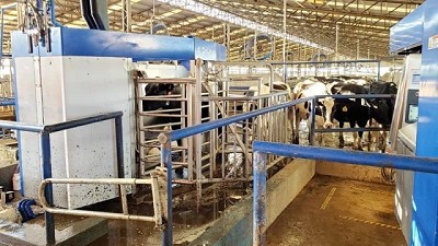 Congreso CREA 2022: Un cambio de paradigma para la lechería