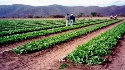 Con el eje en las economías regionales, Bahillo se reunió con Capitanich