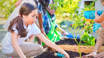 ¿Cómo hacer un huerto escolar?