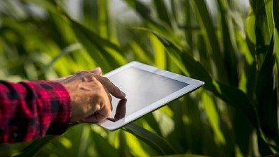 Bases para una nutrición por ambientes eficiente