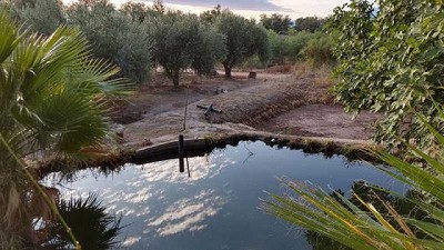 Humedales: Entre el humo y la verdad