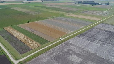 El fósforo como parte del problema o de la solución