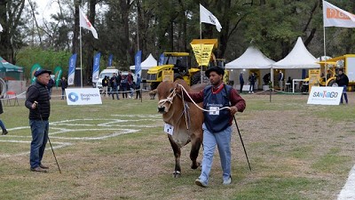 En ExpoBRA 2022 se lucieron los mejores reproductores machos