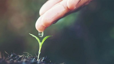 Una Niña más: estrategias en maíz y soja para dar batalla a una  tercera campaña marcada por la seca