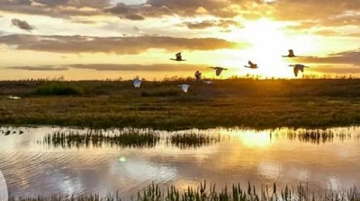 Coninagro y los humedales: “esta ley no apaga los incendios”