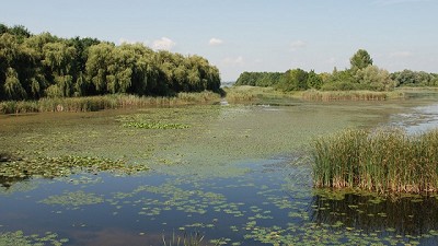 Contra la ley de Humedales. ¿Incendie, usurpe y gane?