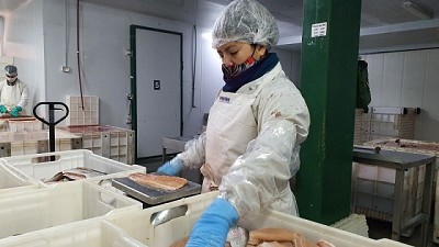 Brasil habilitó el ingreso a su mercado para la Trucha Arcoiris argentina proveniente de la Acuicultura