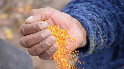 Alimentos: aprovechar el descarte como insumo, la clave