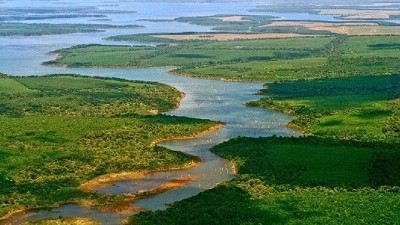 FADIA: nos preocupa la asociación directa que se hace al vincular Incendios con humedales