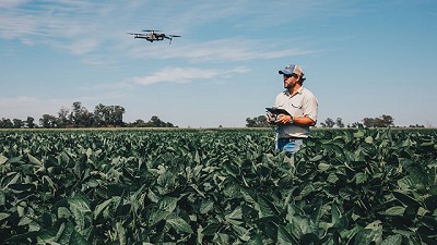 La inteligencia digital se suma  al desarrollo en Stine Semillas