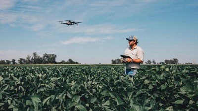 La inteligencia digital se suma al desarrollo en Stine Semillas
