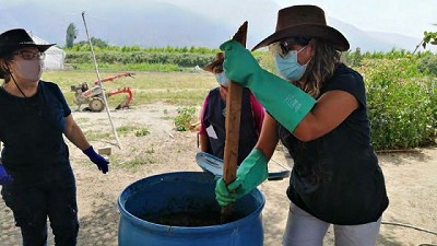 Uso y preparación de ácidos húmicos en el campo