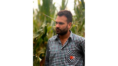 Año Niña y maíz tardío: los aprendizajes para asegurar el rendimiento