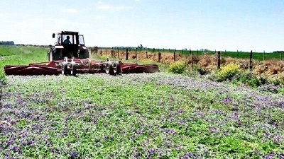 Los rolos apuran el final de los cultivos de servicios