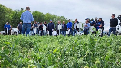 “Explora Legumbres”, alta convocatoria en la primera edición de esta jornada que mostró los  últimos avances para los cultivos