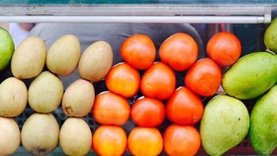 La FAO y el Ministerio de Ambiente lanzaron el programa de investigación +Ciencia +Bosques