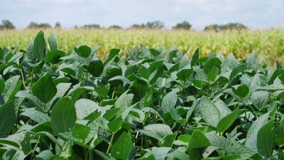 Hacia una producción más eficiente, precisa y sustentable