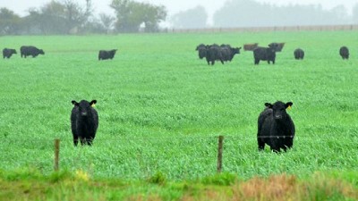 Las lluvias se dan en gran parte del SO