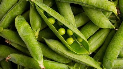 Dualidad en el mercado arvejas: boom exportador y crisis productiva por la sequía