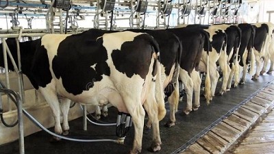 Piden mantener los sangrado en tambos