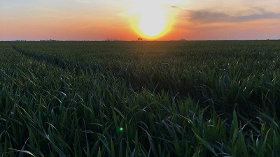 La importancia de planificar una nutrición balanceada 