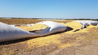 Cinco detenidos van a juicio abreviado por robo de soja