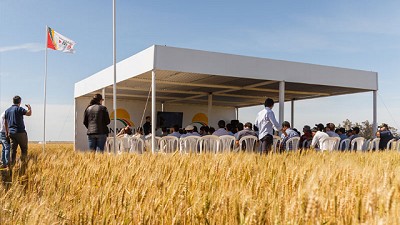 DONMARIO presentó la DONMARIOMÁS de Trigo, una jornada de análisis e intercambio junto a más de 150 asistentes