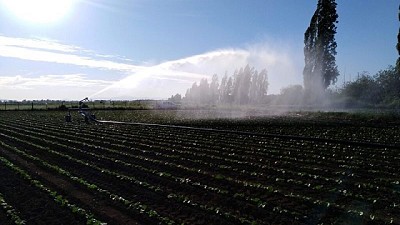 Las claves para la eficiencia hídrica y calidad de los cultivos