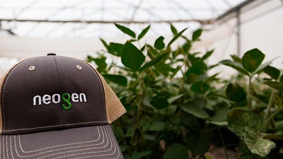 Neogen inauguro las jornadas Neo Campo de Trigo,  en Chacabuco 