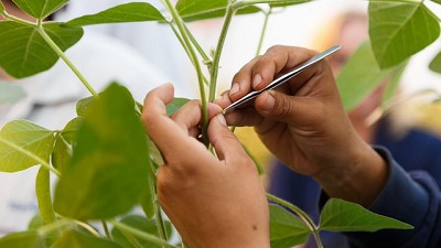 Como hacer frente al año Niña y a un escenario complejo. Recomendaciones. 