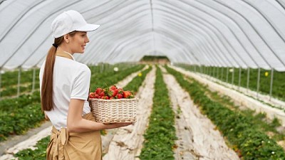 Los invernaderos solares un recurso eficaz y sostenible para producir más con menos