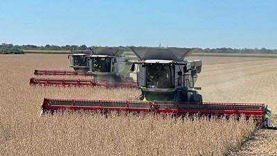 No hay nada como mirar la cosecha desde la cabina