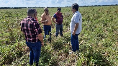 La Argentina y Cuba avanzan en la creación de un centro de tecnología agroalimentaria