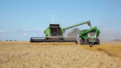 El recorte productivo continúa dando sostén al trigo