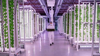 El modelo canadiense de agricultura vertical podría ayudar a combatir el desperdicio de alimentos
