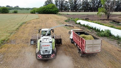 Tambo orgánico: un giro de 180 grados en la producción