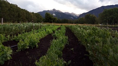 Pautas para diseñar una huerta en la Patagonia cordillerana