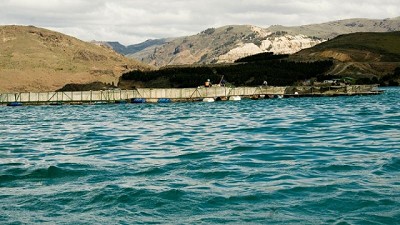 La Argentina mantiene su zona libre de enfermedades de los salmónidos