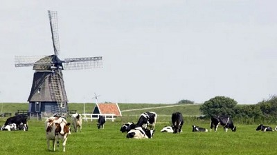 Cómo hicieron las granjas lácteas neerlandesas para reducir 35% la huella de carbono de la leche cruda