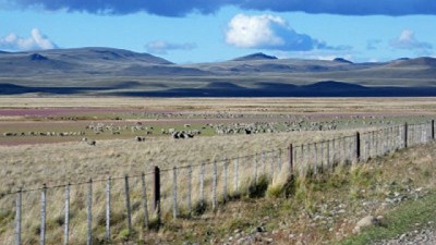 Proponen una forma de anticiparse a la degradación en Patagonia