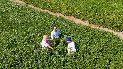 Bioestimulantes: herramientas clave para atenuar el impacto ambiental negativo sobre los cultivos y evitar pérdidas significativas en el rinde
