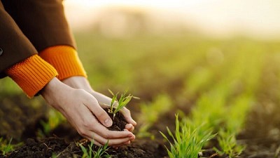 Cómo la agricultura basada en economía circular y ecológica disminuye el calentamiento global