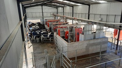 Cuenca Lechera Mar y Sierras presente en la Fiesta del Queso Tandilero