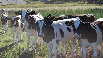 Un recorrido por las investigaciones que se convirtieron en noticia