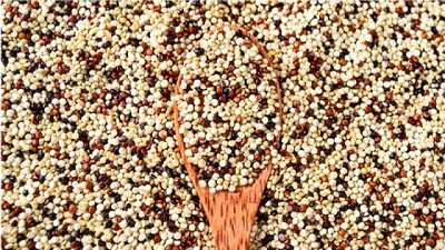 Sorgo en el punto de mira: 