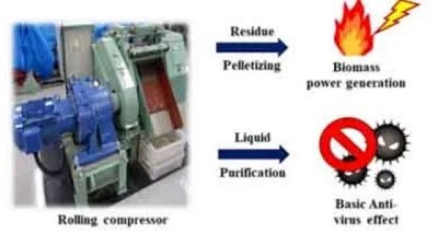 Japoneses descubren un nuevo método para comprimir biomasa vegetal que tiene aplicaciones en bioenergía y medicina