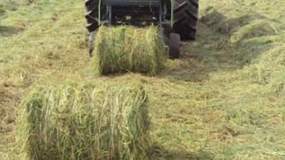 Gremiales lecheras pidieron una reunión urgente al Ejecutivo por efectos de la sequía